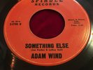 ADAM WIND 