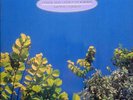 Punk Wave LP 06 - THE GO-BETWEENS - 1978-1990 (DoLP) - Rebel Records D 1990 EX+