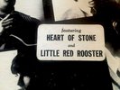 Rolling Stones, Now Lot, 1st Pressing Very Rare Hype Sticker Ffrr,& Sealed Now