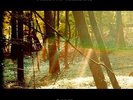 Childish Gambino - Camp [New Vinyl]