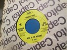 WIND IN THE WILLOWS 45 Moments Spent PROMO Folk PSYCH Debbie Harry BLONDIE EXC