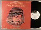 HENRY TREE – ELECTRIC HOLY MAN Mainstream S/6129 '69 Promo LP US PSYCH ROCK EX