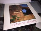 1989 Caroline The Bridge Neil Young Tribute Pixies Sonic Youth Flaming Lips More