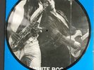 ** BRUCE SPRINGSTEEN The Great White Boss Pic Disc G+/G Die Cut Sleeve