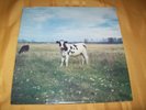 Pink Floyd (Screaming Abdabs) Dark Side of The Moo LP 1967-70 Studio Outtakes