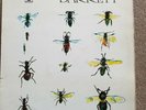 Syd Barrett LP Barrett EU Harvest press Pink Floyd ++++++