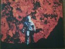 NEBULA - Let It Burn  VINYL Stoner Rock psych sounds Record