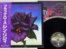 THIN LIZZY BLACK ROSE VERTIGO RJ-7587 Japan OBI VINYL LP