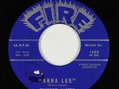 Blues/R&B Rocker 45 - Elmore James - Anna Lee - Fire - VG+ mp3