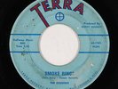 R&B Mod Inst. 45 - Esquires - Smoke Rings - Terra - mp3 - obscure