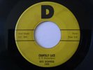 The Big Bopper Chantilly Lace b/w Purple People Eater original 45 D Records 1008