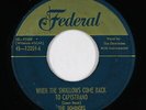 Doo-Wop/R&B 45 - Dominoes - When The Swallows Come Back - Federal - mp3