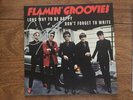 Flamin’ Groovies French Import NEW Signed By Chris Wilson With UK  Test Pressing