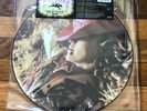 Madonna Music RARE original import picture disc 12