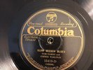 COUNTRY DARBY & TARLTON Columbia 15419 Slow Wicked Blues(one of their best) E/E+