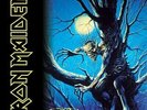 |2302951| Iron Maiden - Fear Of The Dark [2xLP Vinile]