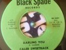 Caleb Sweetback - Darling you ( Black Spade US ) VERY RARE ROOTS REGGAE