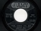 TEEN-TRACEY DEY-HERE COMES THE BOY/TEDDY'S THE BOY I LOVE-AMY 894
