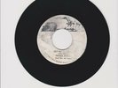 PRINCE BUSTER/ GET READY - JOHN HOLT (72 REGGAE ROOTS 7