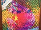 $100 Fine-Litter-Very Rare LP-VG+Sleeve VG vinyl-S8-9203-Psychedelic Garage Rock