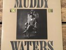 Muddy Waters - King Bee - Promo NM+