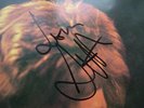 AUTOGRAPHED / SCOTT ENGEL 4 / WITH OBI