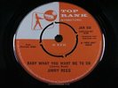 JIMMY REED   Baby What You Want Me To Do   MINT   1960 UK TOP RANK JAR 333   R&B