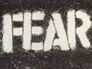 Fear - The Record  - NEW SEALED 180g LP - Punk Classic on VINYL