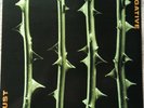 Type O Negative - October Rust Vinyl Doppel LP 1996 RAR