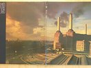 PINK FLOYD LP: ANIMALS (D; LIM.EDT. PINK VINYL;EMI Electrola ?1C 064-98 434)