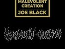 MALEVOLENT CREATION-JOE BLACK (COMPILATION SCHWARZ) (US IMPORT) VINYL NEW