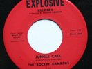 The Rockin' Ramrods MA Garage Psych Explosive Records 1st 45rpm 1963
