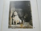 PAVLOV'S DOG 'PAMPERED MENIAL' RARE WITHDRAWN ABC 1st ISSUE DIFF COVER '75 MINT