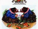 Matching Mole - Matching Mole (White Vinyl) - LP Vinyl - New
