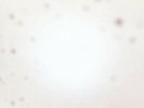 Yo La Tengo - There's A Riot Going On - Double LP Vinyl - OLE11668 - NEW