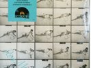 ROXY MUSIC LP x 2 Roxy Music Debut RECORD STORE DAY Vinyl 2019 REMIXES Sealed