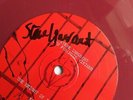 STEVE IGNORANT & PARANOID VISIONS height of ignorance  SIGNED 10