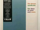 DREAM SYNDICATE The Days Of Wine And Roses 12