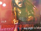 LENNY KRAVITZ - ONE NIGHT IN TOKYO VINYL LP BUDOKAN NOV 10 1995 RARE OOP 2LP SET
