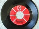 THE STOOGES 45 I Wanna Be Your Dog/same mono=PROMO=Electra 45664 VG+
