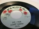 Sammy Cooper&Emeralds Fiesta 1001 Am i blue