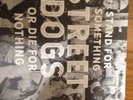 Street Dogs - Stand For Something Or Die For Nothing [New Vinyl] Gatefold LP Jac