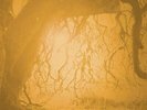 GOLDEN VOID-GOLDEN VOID VINYL LP NEW