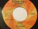 PYRAMIDS Contact/Pressure 45 Cedwick promo surf