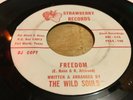 The Wild Souls - Where Is My Mind w/ Freedom