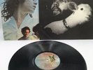 THE DOORS 13 LP Vinyl Electra Butterfly W/Inner Sleeve