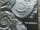 The Sundays Reading Writing And Arithmatic Vinyl. Rough Trade Rough 148