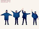 Help  [Mono Remastered] [Limited Edition] by The Beatles (180g Vinyl, 2014)