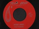 DALE MCBRIDE: Prissy Missy / Two Steps From The Blues 45 (co) rare Rockabilly