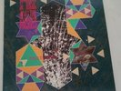 SIOUXSIE AND THE BANSHEES Nocturne UK Live 2LP Vinyl Spellbound Dear Prudence...